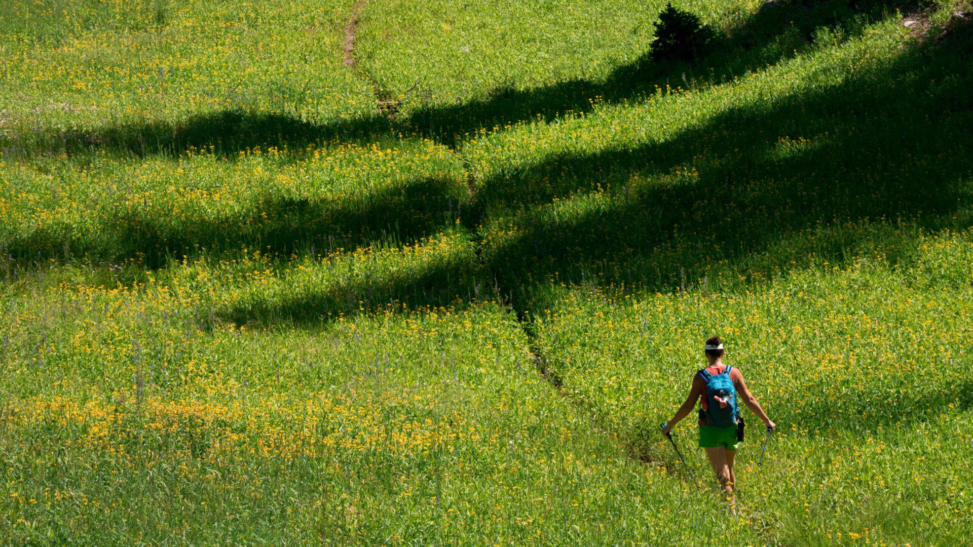 About Us | Friends of Bridger Teton National Forest